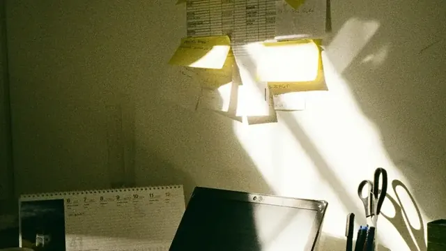 All Tax & Books professional services